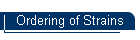 Ordering of Strains